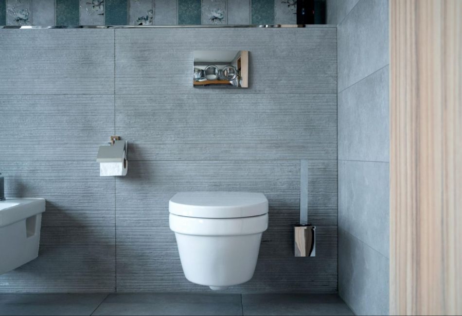 eco-toilet การแต่งห้องน้ำด้วยสุขภัณฑ์