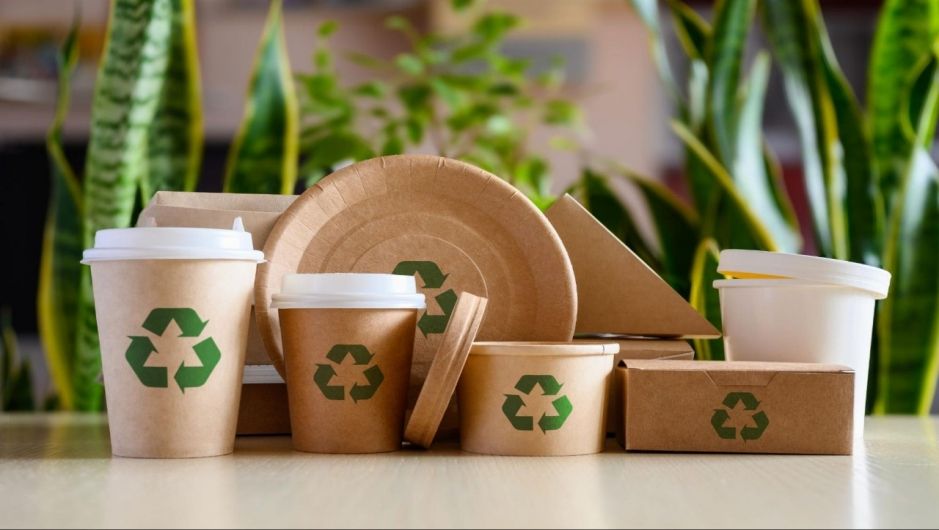 what-is-eco-friendly-product ECO-Friendly Products คือ