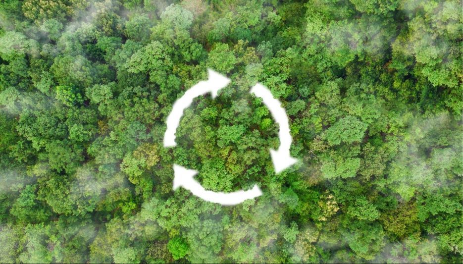 net-zero-carbon carbon neutral vs net zero คือแนวทางการปฏิบัติเพื่อความยั่งยืน