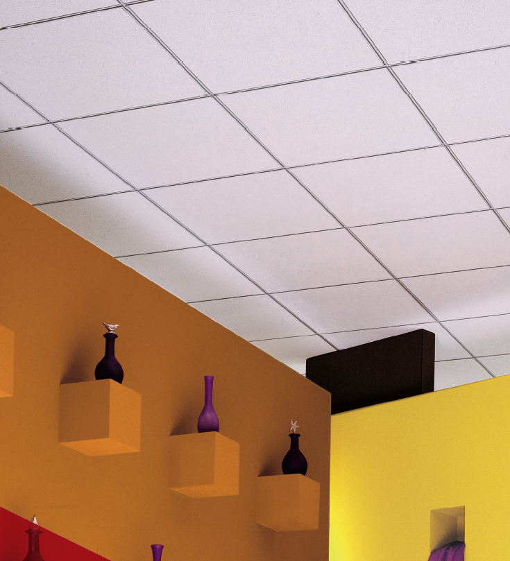 Acoustic Ceiling System