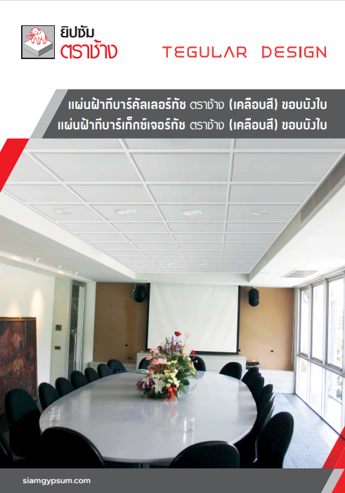 แผ่นฝ้าเคลือบสี ปรุลาย ตราช้าง รุ่นไอออน คลีน คัลเลอร์ทัช (ColorTouch) เท็กซ์เจอร์ทัช (TexturTouch)