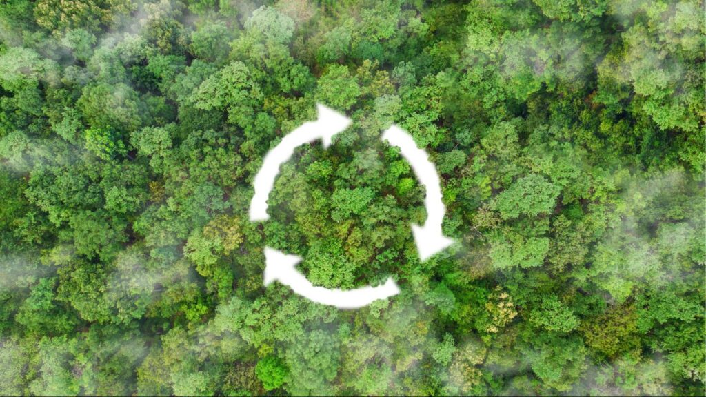 carbon neutral vs net zero คือแนวทางการปฏิบัติเพื่อความยั่งยืน
